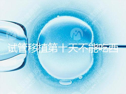 試管移植第十天不能吃西瓜！影響胚胎發育可不是玩笑話