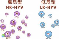 試管取卵后為什么打黃體酮?3大作用的目的都殊途同歸