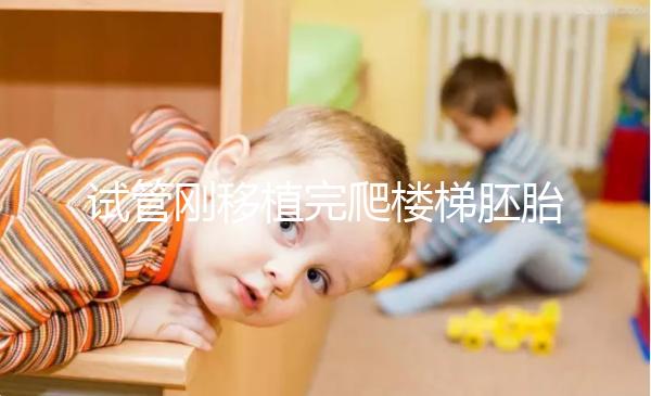 試管剛移植完爬樓梯胚胎會掉出來是謠言！這3大影響了解下