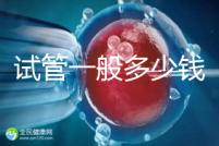 試管一般多少錢(qián)