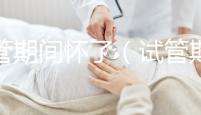 試管期間懷了（試管期間懷了雙胞胎）