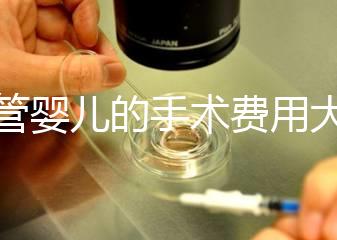 試管嬰兒的手術費用大概是多少?