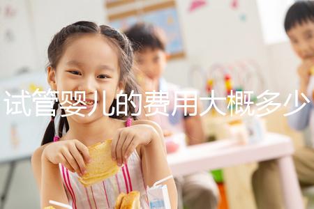 試管嬰兒的費(fèi)用大概多少錢?