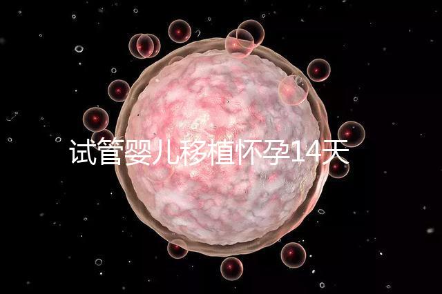 試管嬰兒移植懷孕14天，還能吃巧克力餅干嗎？