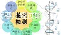 試管嬰兒經(jīng)過輸卵管嗎(10個人做試管幾個能成功)