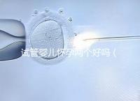 試管嬰兒懷孕兩個(gè)好嗎(試管放一個(gè)還是兩個(gè)好)