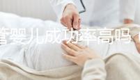 試管嬰兒成功率高嗎(40歲試管嬰兒成功率高嗎)