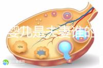 試管嬰兒是夫妻誰的問題（試管嬰兒是夫妻的嗎）