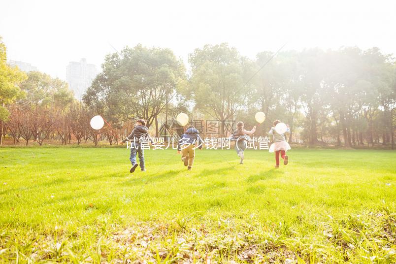 試管嬰兒多少錢啊(試管嬰兒多少錢啊一般來說)