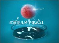 試管嬰兒多少錢2021(試管嬰兒多少錢2021年成功率)