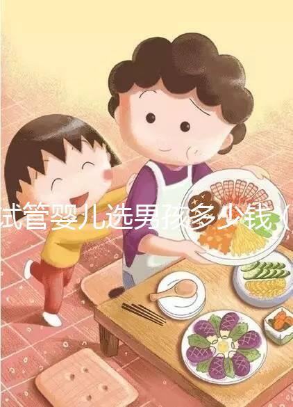 試管嬰兒選男孩多少錢(試管嬰兒選男孩多少錢一次)