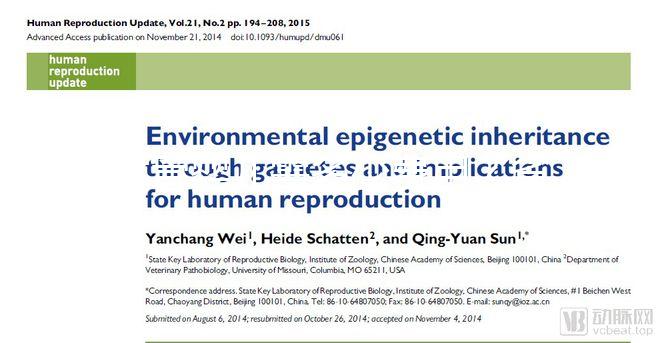 試管嬰兒需多少費用?省錢攻略建議收藏!