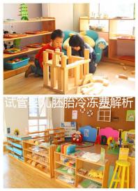 試管嬰兒胚胎冷凍費解析，一年下來大概要花這么多