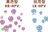 試管嬰兒詳細過程(試管嬰兒詳細過程小說)