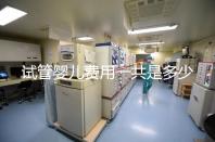 試管嬰兒費(fèi)用一共是多少(試管嬰兒費(fèi)用一共是多少錢)