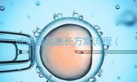試管嬰兒超長方案流程（長方案試管詳細(xì)流程）