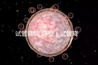 試管降調(diào) 感受(試管降調(diào)后的反應(yīng))