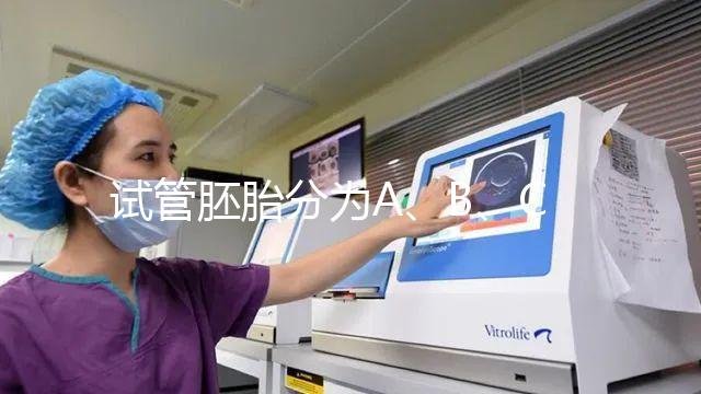 試管胚胎分為A、B、C、D四級(jí),那么每一級(jí)分別代表什么?