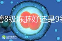 試管8級凍胚好還是9級好進來瞧,看完二者區別全明白