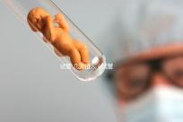 試管 幾天植入（試管 幾天植入最好）