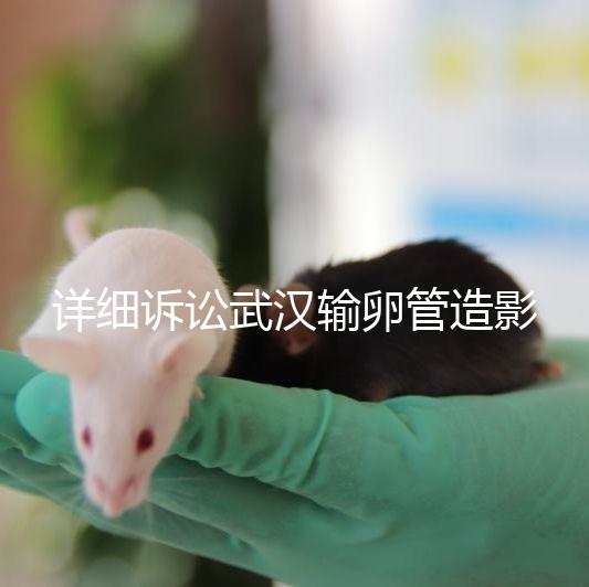 詳細訴訟武漢輸卵管造影檢查多少錢，能否報銷，不要錯過