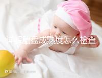 詳解胎盤成熟度怎么檢查、正常值是多少,附超聲報(bào)告解讀