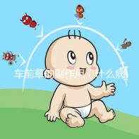 車前草的副作用(什么病最怕車前草)