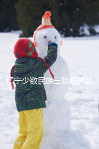 遼寧少數(shù)民族三胎政策最新消息來臨,沈陽、大連補助不一樣