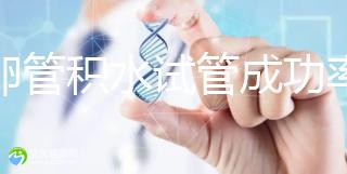 輸卵管積水試管成功率(輸卵管積水懷孕幾率有多大)