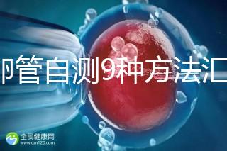 輸卵管自測9種方法匯總,試紙+晨尿怎么用最準有竅門