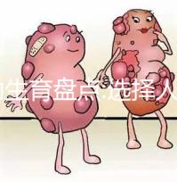 輔助生育盤點(diǎn):選擇人工授精(IUI)還是試管嬰兒(IVF)