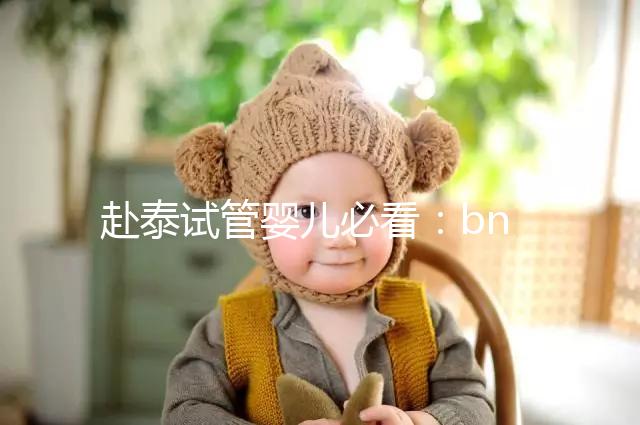 赴泰試管嬰兒必看:bnh和ibaby(愛寶貝)醫(yī)院對(duì)比介紹