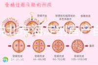 誰說北京海淀剖宮產(chǎn)自付費用高,了解2024年生育保險報銷比例?