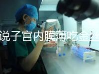 誰說子宮內膜薄吃金絲燕窩沒有用，長內膜、增加卵泡還有…