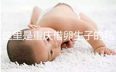 這里是重慶借卵生子的私立好醫院，附2024前三機構詳細介紹