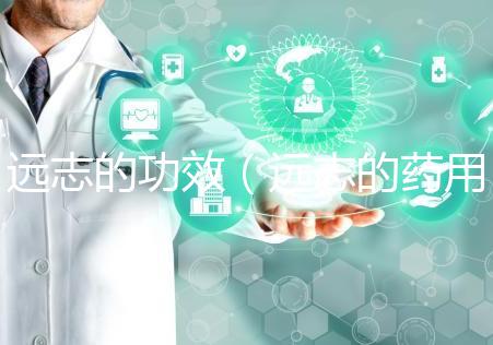 遠志的功效(遠志的藥用價值)