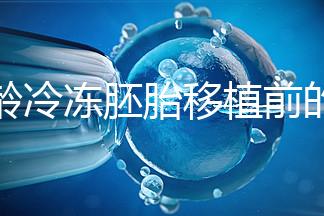 高齡冷凍胚胎移植前的注意事項和禁忌可以清楚地分類嗎？