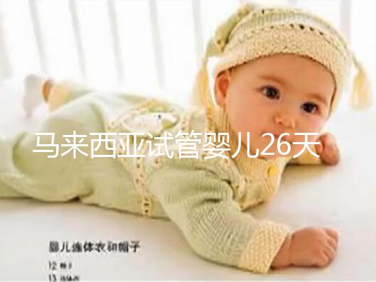 馬來(lái)西亞試管嬰兒26天行程全紀(jì)錄