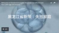 黑龍江省新策:失獨家庭最高可獲5000元補助金