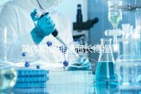 黃體期促排卵泡長得慢原因已找到!4種手段幫你解決