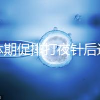 黃體期促排打夜針后還要吃地屈孕酮！服用后作用可真不少