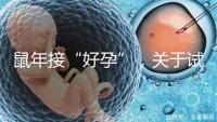 鼠年接“好孕”,關于試管嬰兒取卵的那些事兒!