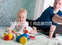 雞血藤功效（雞血藤功效主治）