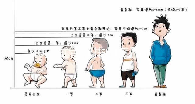 40歲試管促排雌二醇385是否1-2個卵的答案揭曉，想造戳
