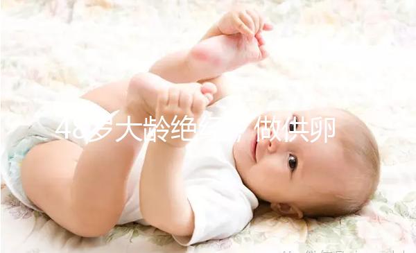 48歲大齡絕經(jīng)，做供卵試管嬰兒的成功率有多高？