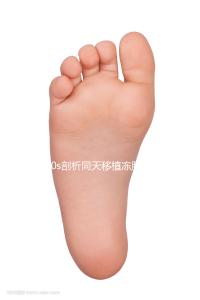 60s剖析同天移植凍胚為什么別人驗孕棒兩道杠明顯，趕快get