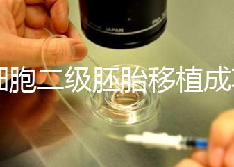9細胞二級胚胎移植成功案例不少，過來人告訴你著床率較高