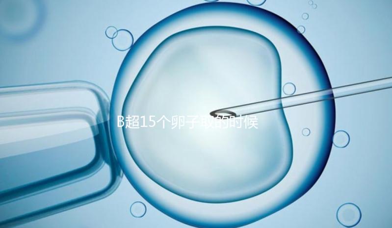 B超15個卵子取的時候只取了8個有原因的卵子，看起來不正常很清楚