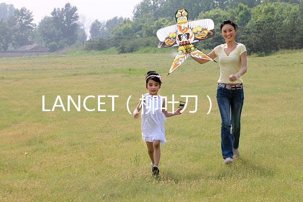 LANCET（柳葉刀）發(fā)表中國(guó)學(xué)者最新研究成果：“第二代試管嬰兒”技術(shù)并不能顯著提高子代活產(chǎn)率醫(yī)藥新聞