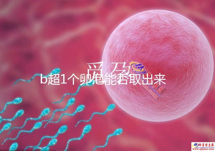 b超1個卵泡能否取出來分人，質量好或有一定受孕幾率